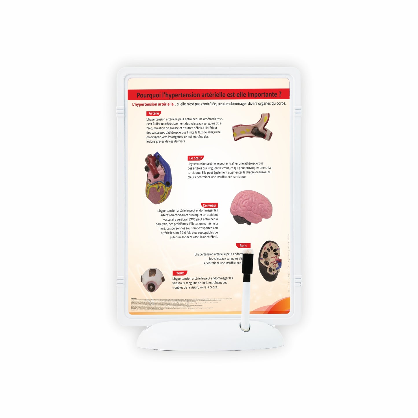 High Blood Pressure: The Frame Write & Wipe