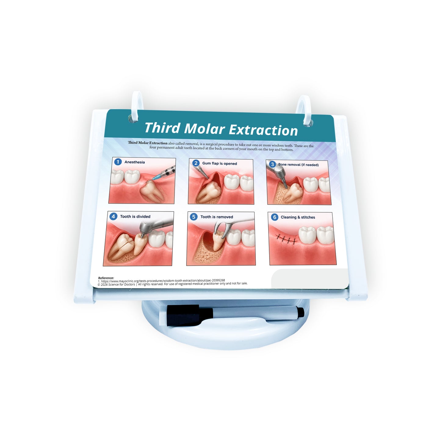 ROTRI - H WITH FLIP WIPES ON TOPS  - Dental Anatomy