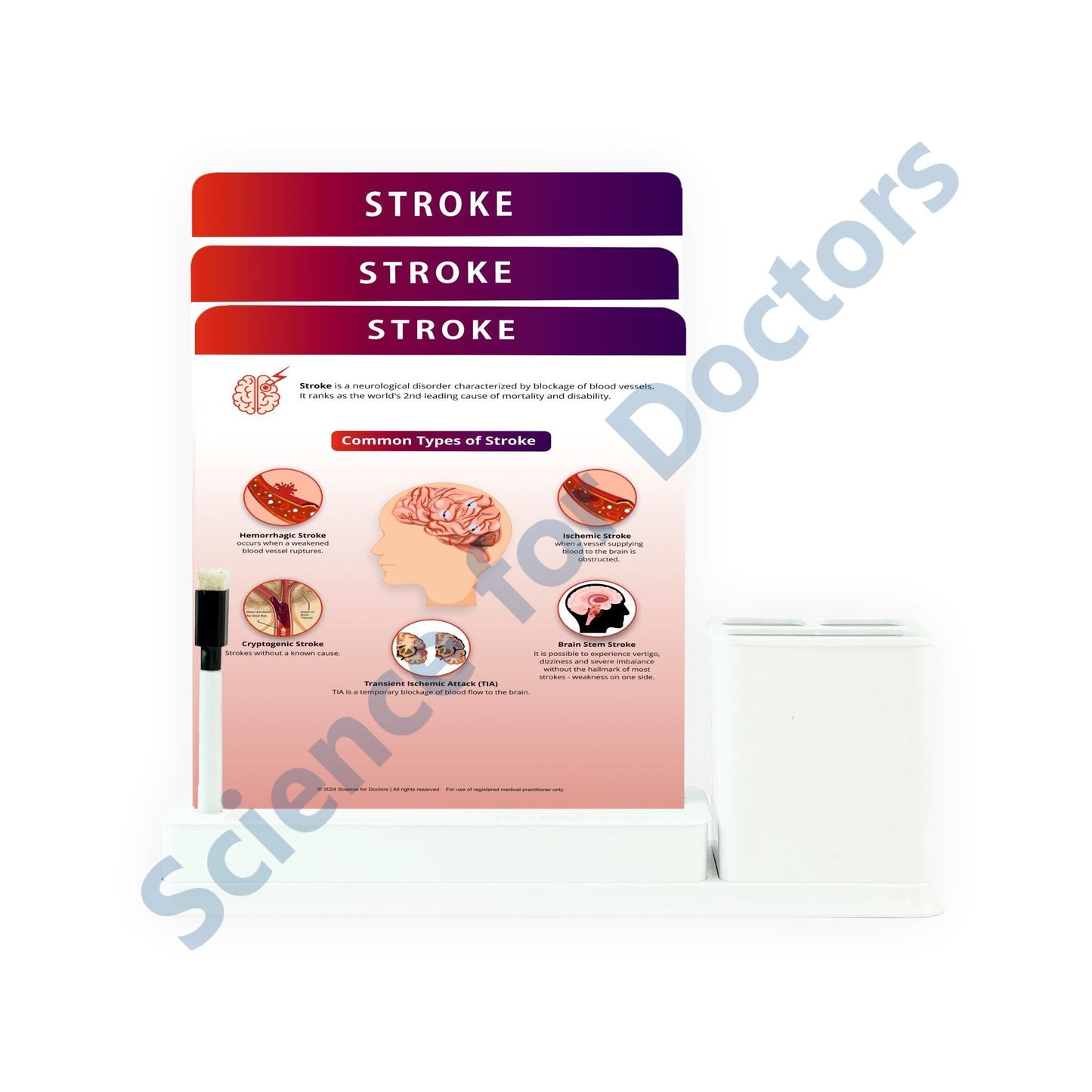 Stroke(1): 3 Slides Write & Wipe with Stationary Stand