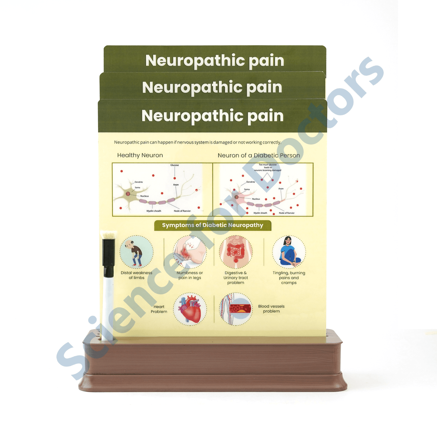 Neuropathic Pain (1): 3 slide on stand