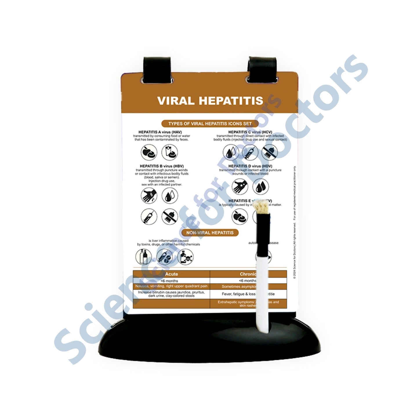 Viral Hepatitis(1) - A5 Flip Wipe