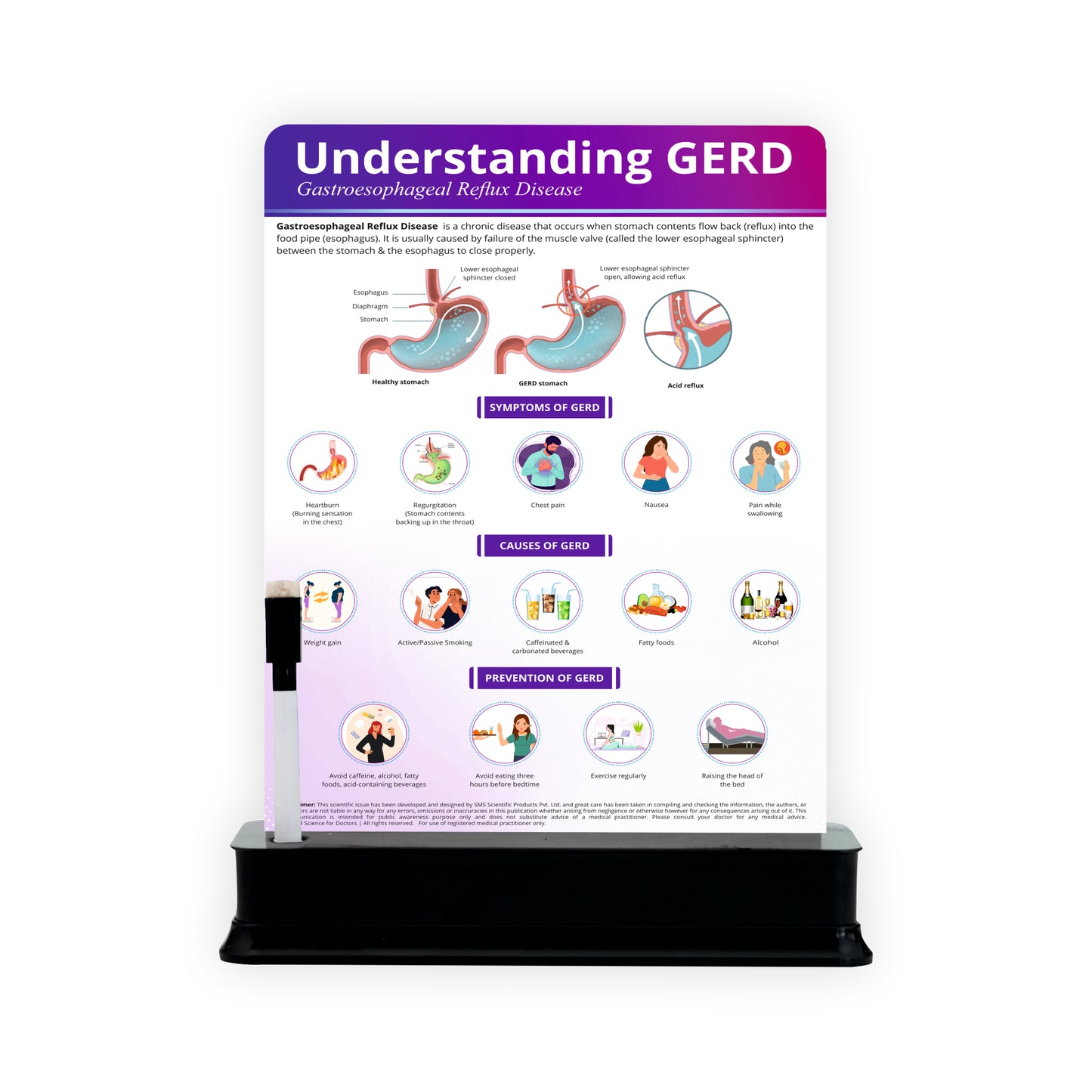 Understanding GERD: 1 Slide With Stand