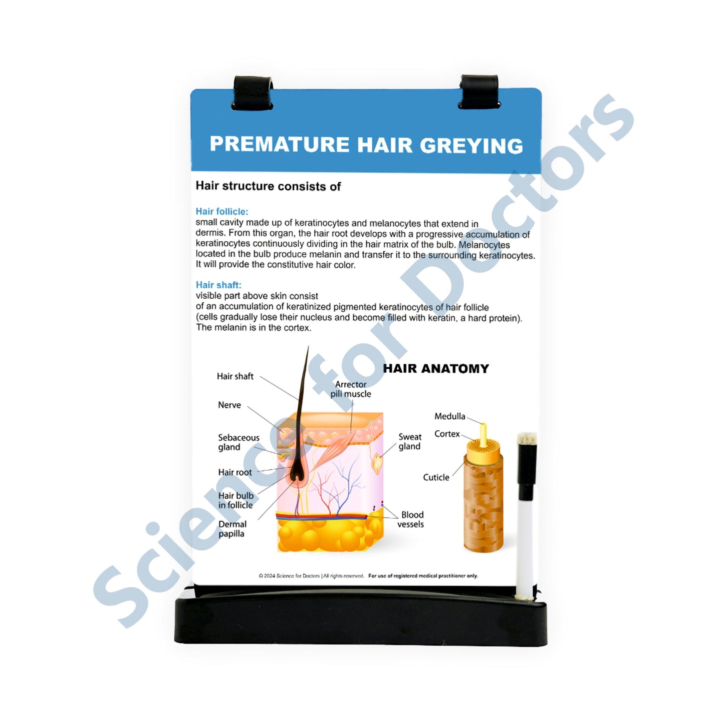 Premature Hair Greying: A4 Flip Wipe