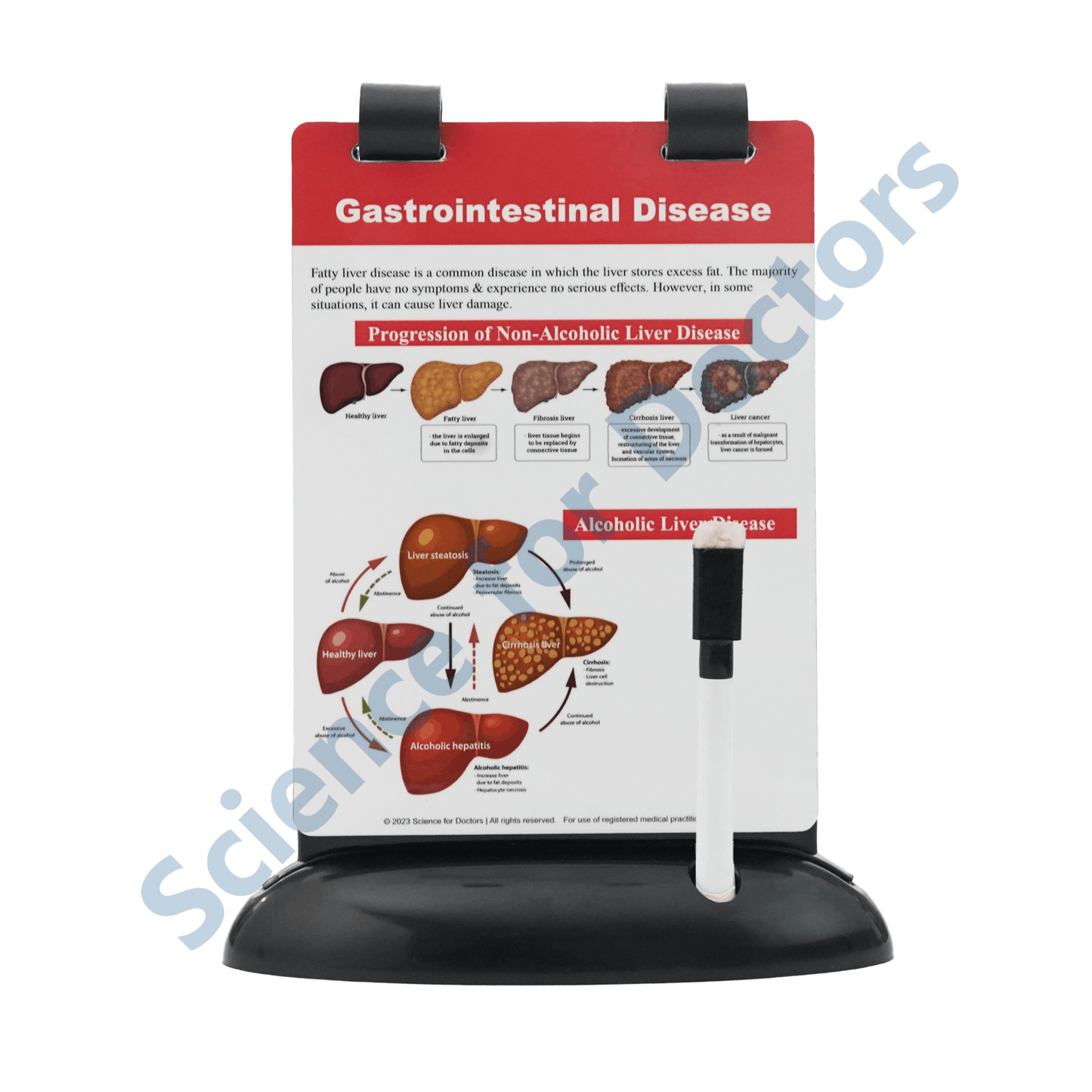 Gastrointestinal Disease: A5 Flip Wipe