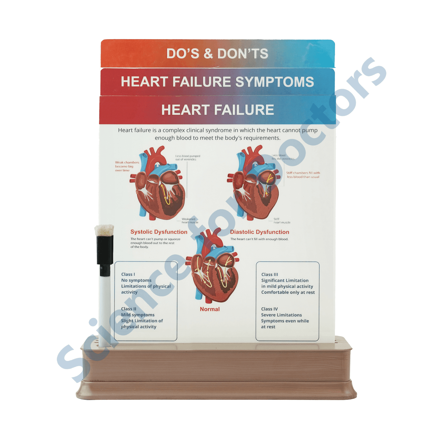 Heart Failure: 3 slide on stand