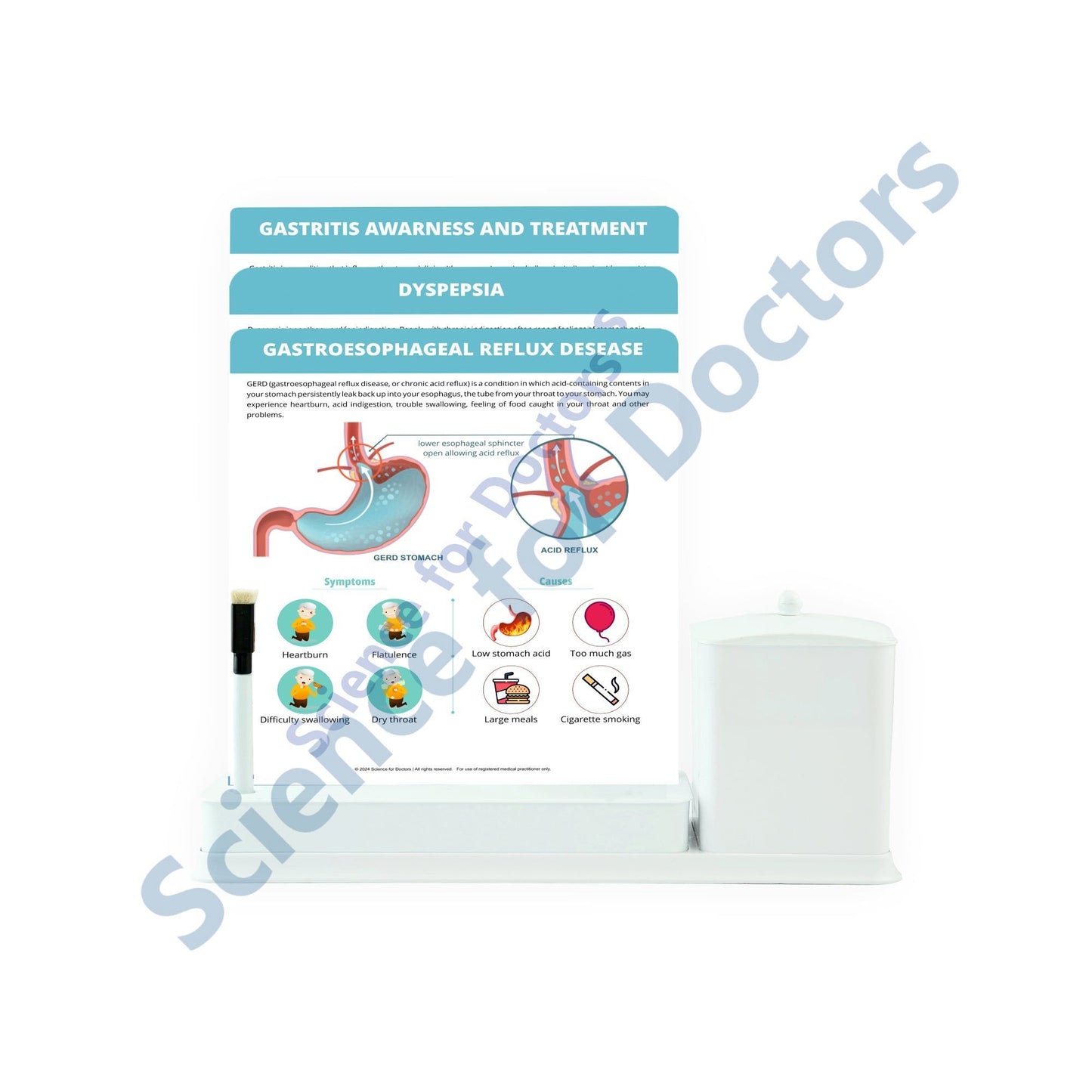 Gastroesophageal Reflux Disease: 3 Slide Write Wipe With Utility Container