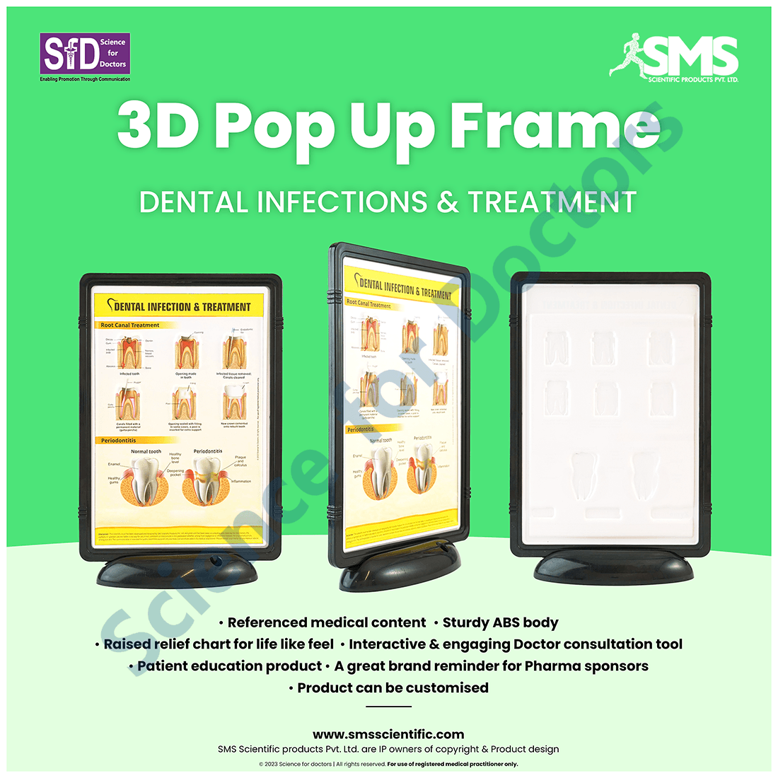 Dental Infection and Treatment: 3D Pop Up Frame* (MOQ 300)