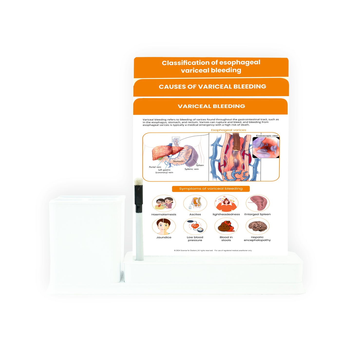 Variceal Bleeding: 3 Slides Write & Wipe with Stationary Stand