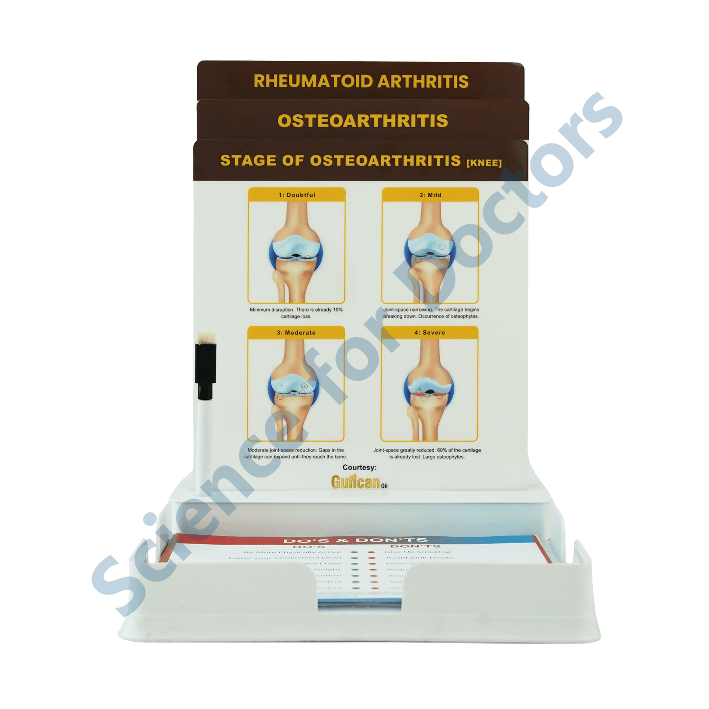 Osteoarthritis: 3 Slides Patient Leaflet Tray