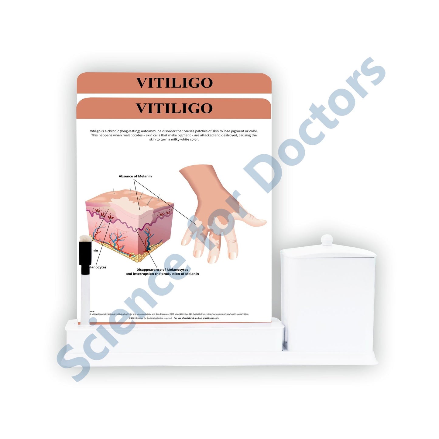 Vitiligo - 2 Slide Write Wipe With Utility Container