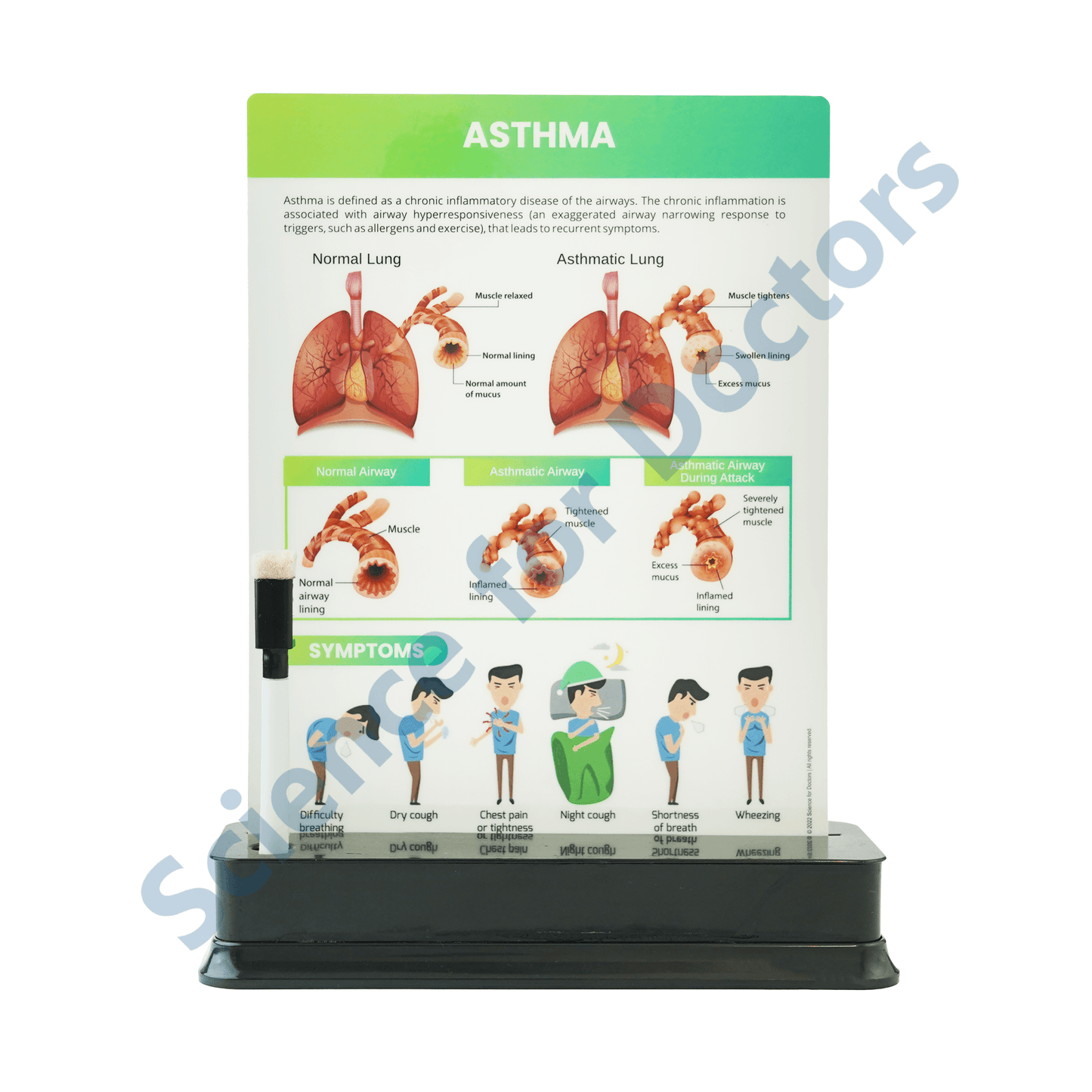 Asthma: 1 slide on stand