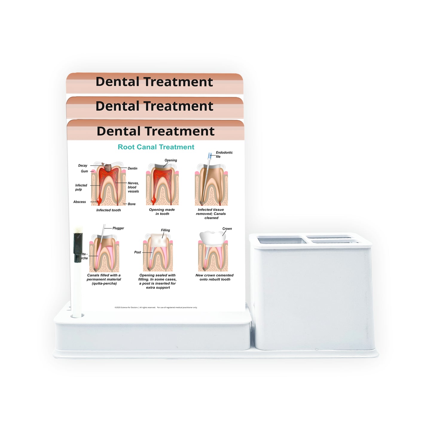 Smart - 3 Slides Write & Wipe With Stationary Stand - Dental Treatment