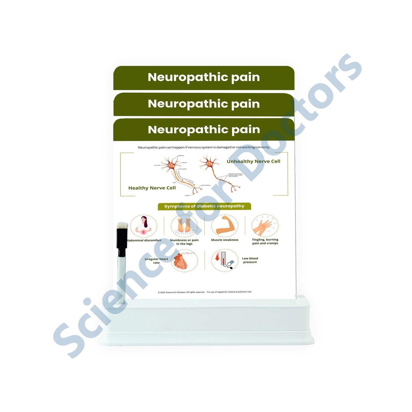 Neuropathic Pain: 3 Slides on Stand