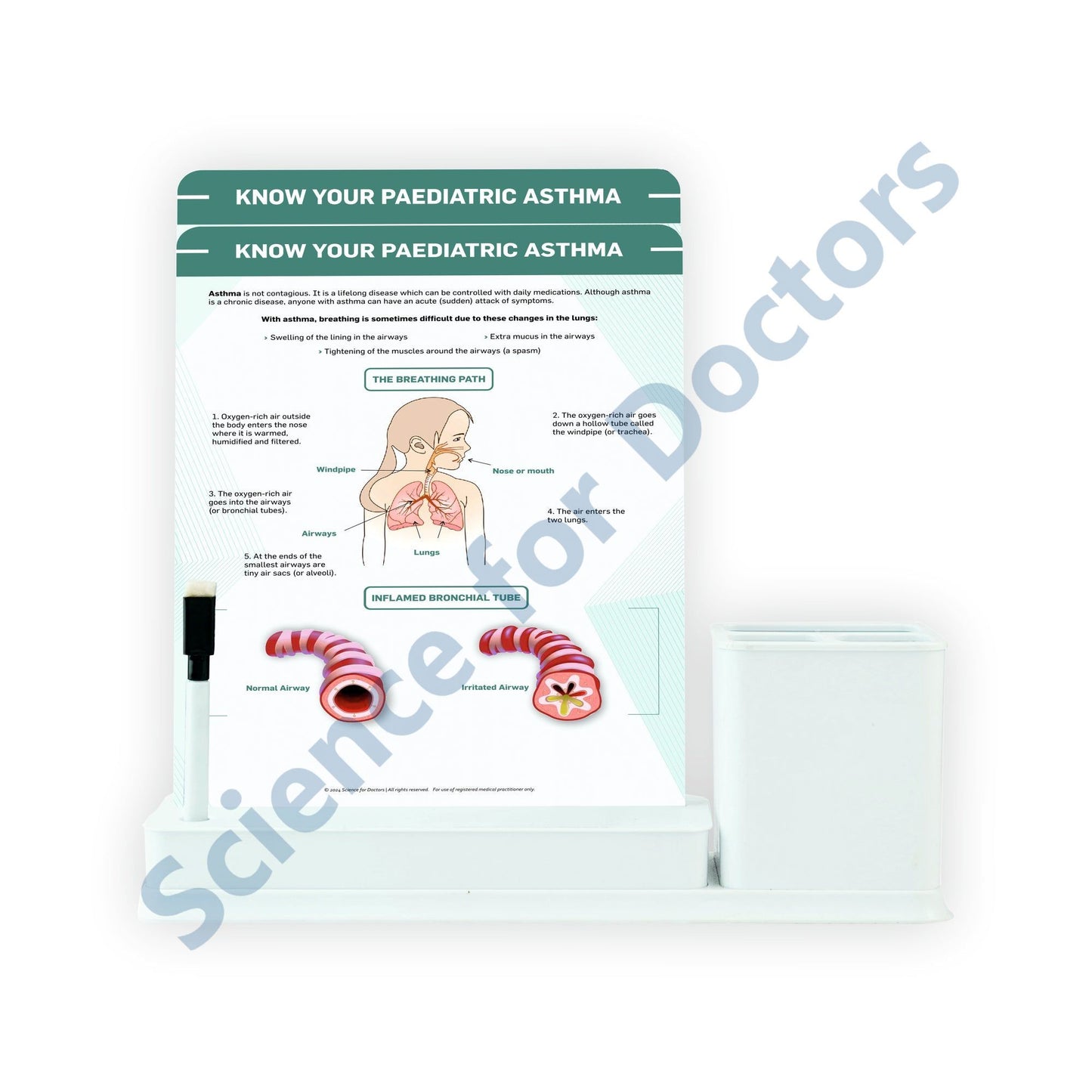 2 Slides Write & Wipe with Stationary Stand  - Know Your Paediatric Asthama