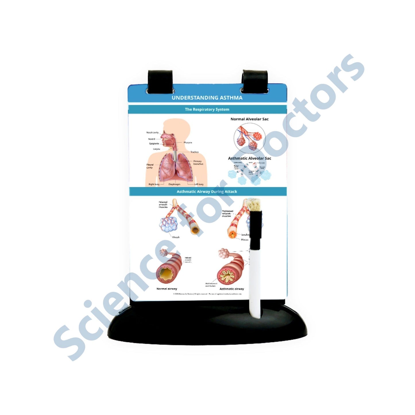 Understanding Asthma: A5 Flip Wipe