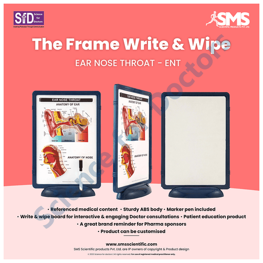 Ear Nose Throat: The Frame Write and Wipe