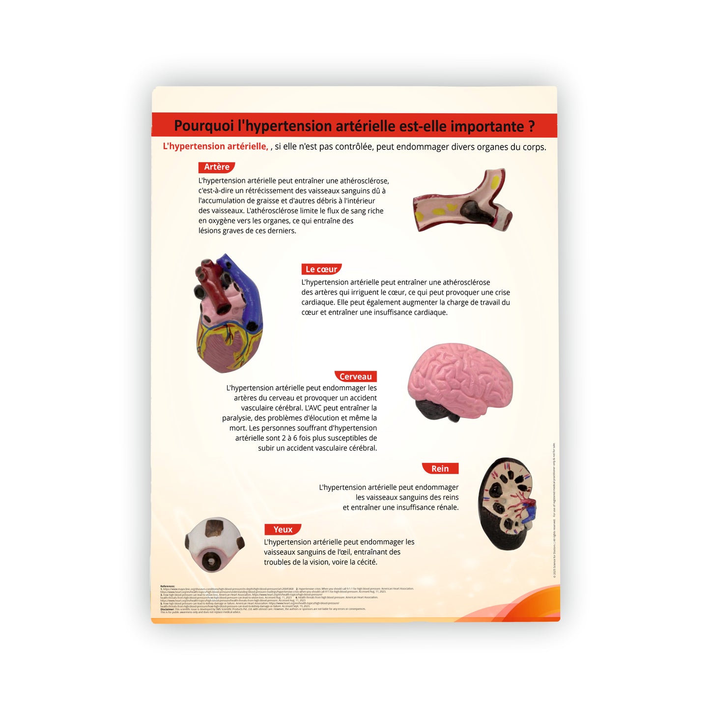 High Blood Pressure: 3D Therapy Board