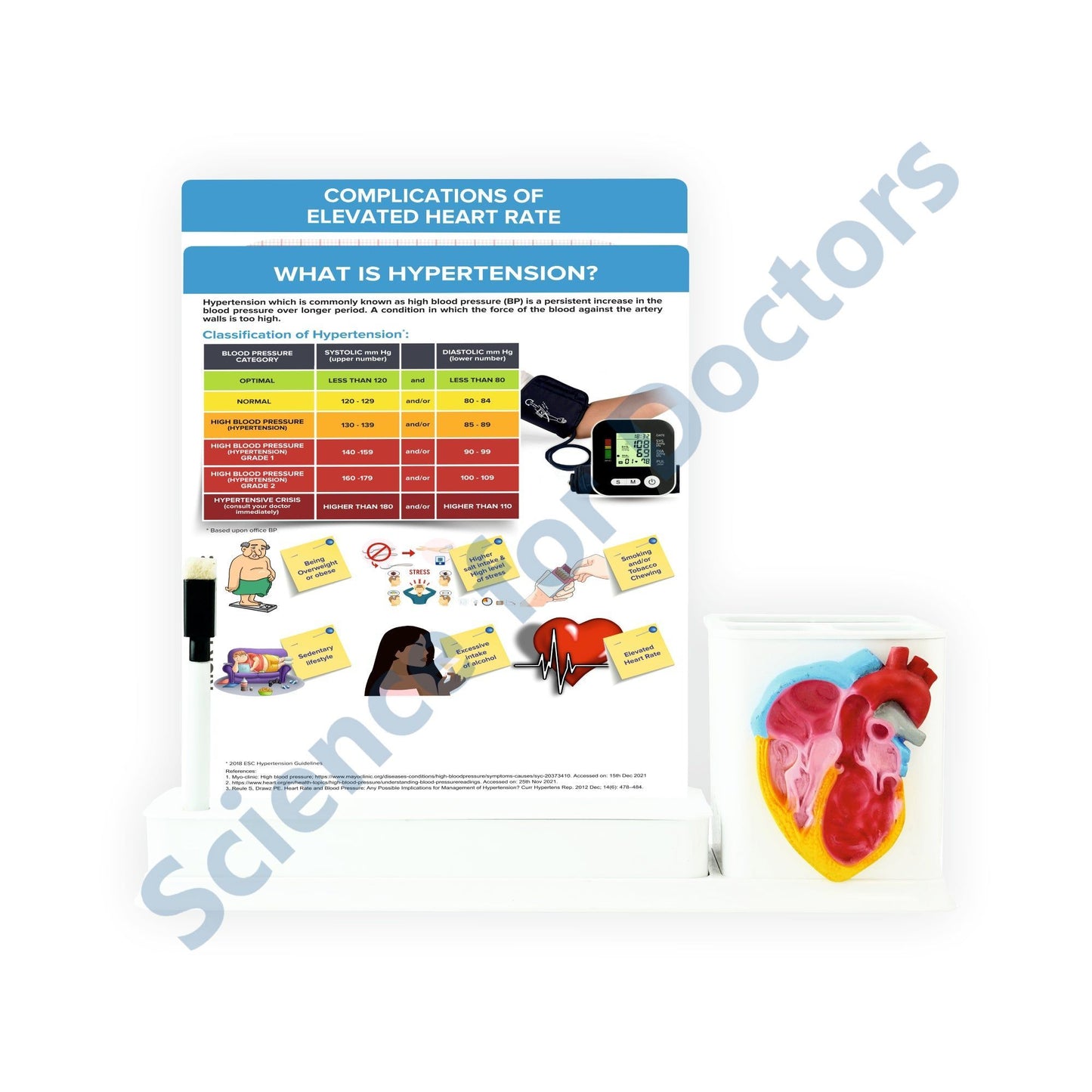 2 slides write & wipe with anatomical model on Stationary Stand - What is hypertension