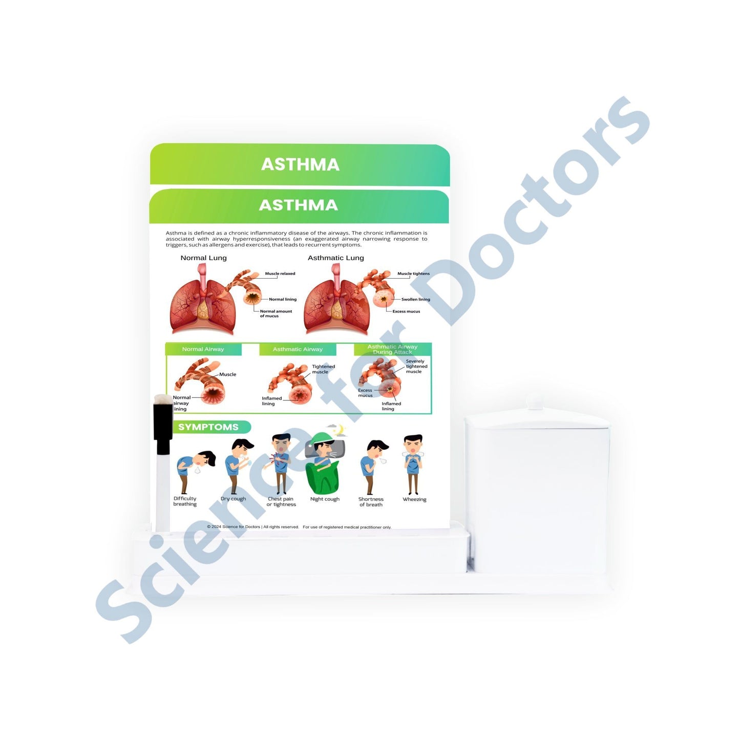 2 Slides Write & Wipe with Utility Container  - Asthma