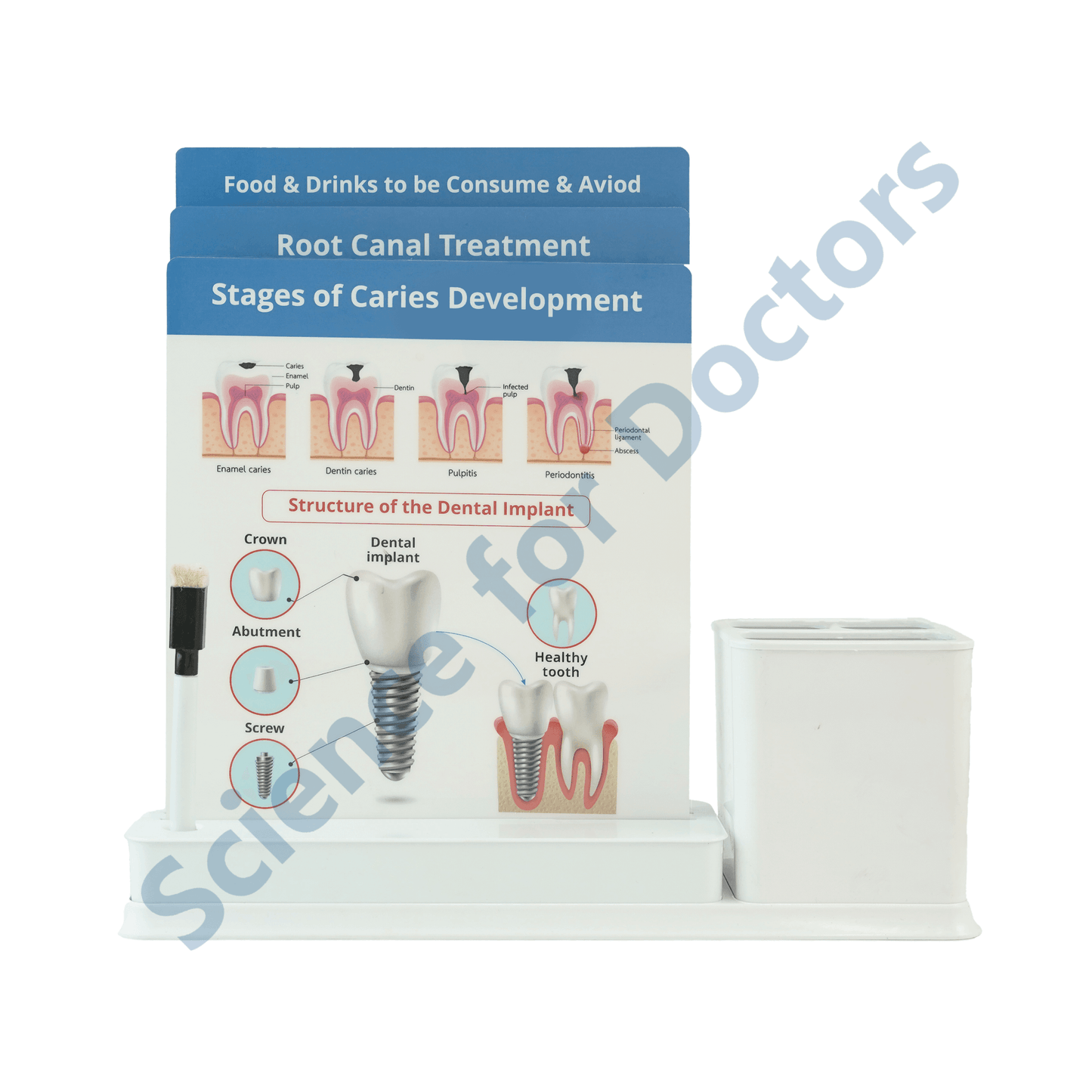 Root Canal Treatment: 3 Slides Write & Wipe with Stationary Stand