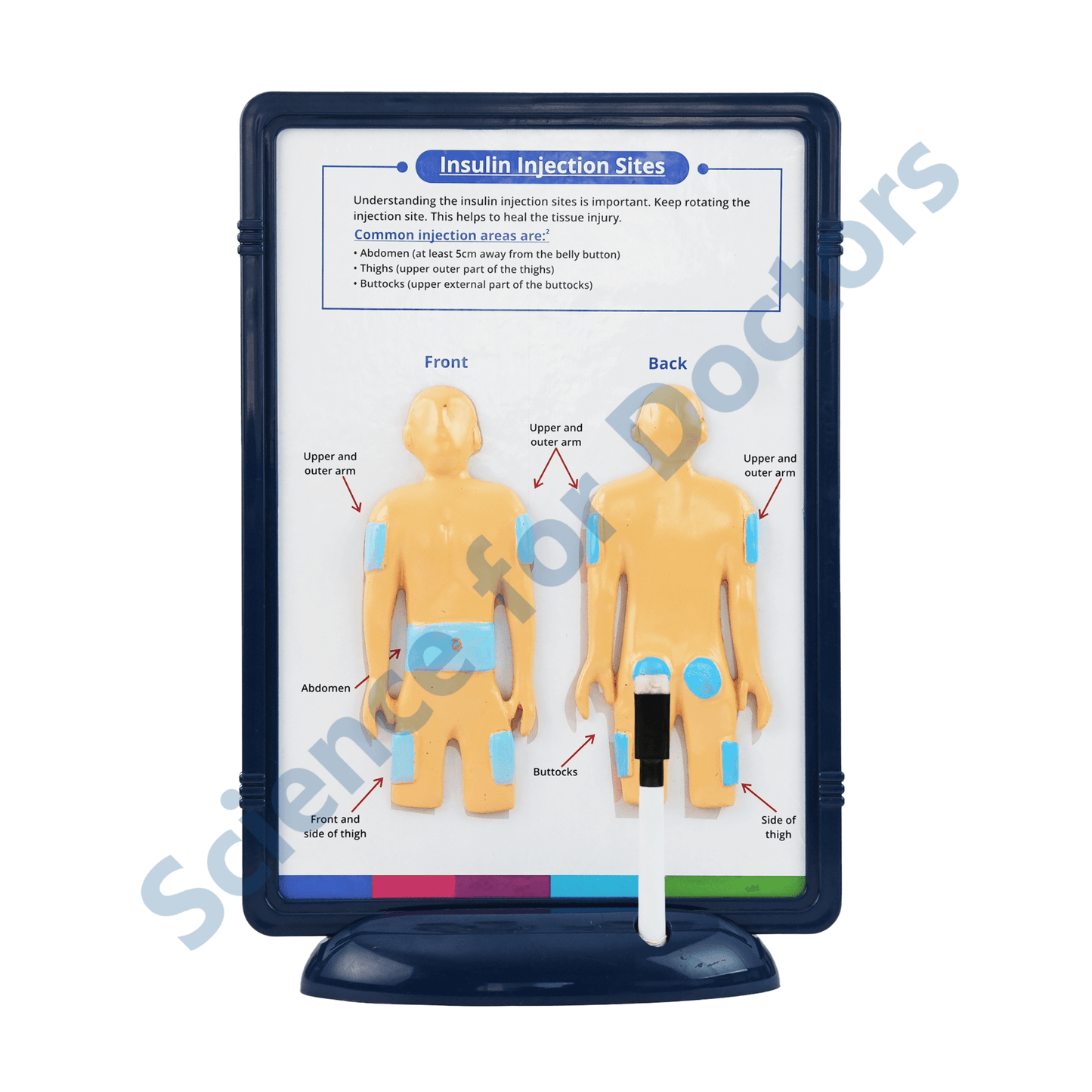 Insulin Injection Sites: 3D Therapy Frame