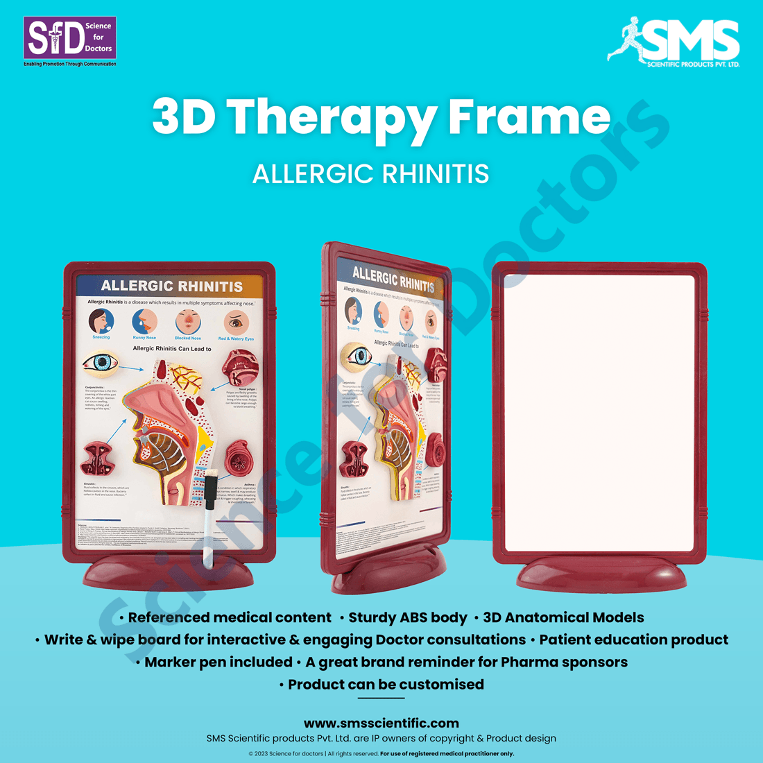 Allergic Rhinitis: 3D Therapy Frame