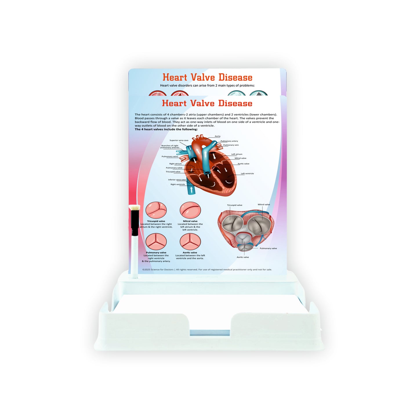 Heart Valve Disease: 2 Slides With Tray