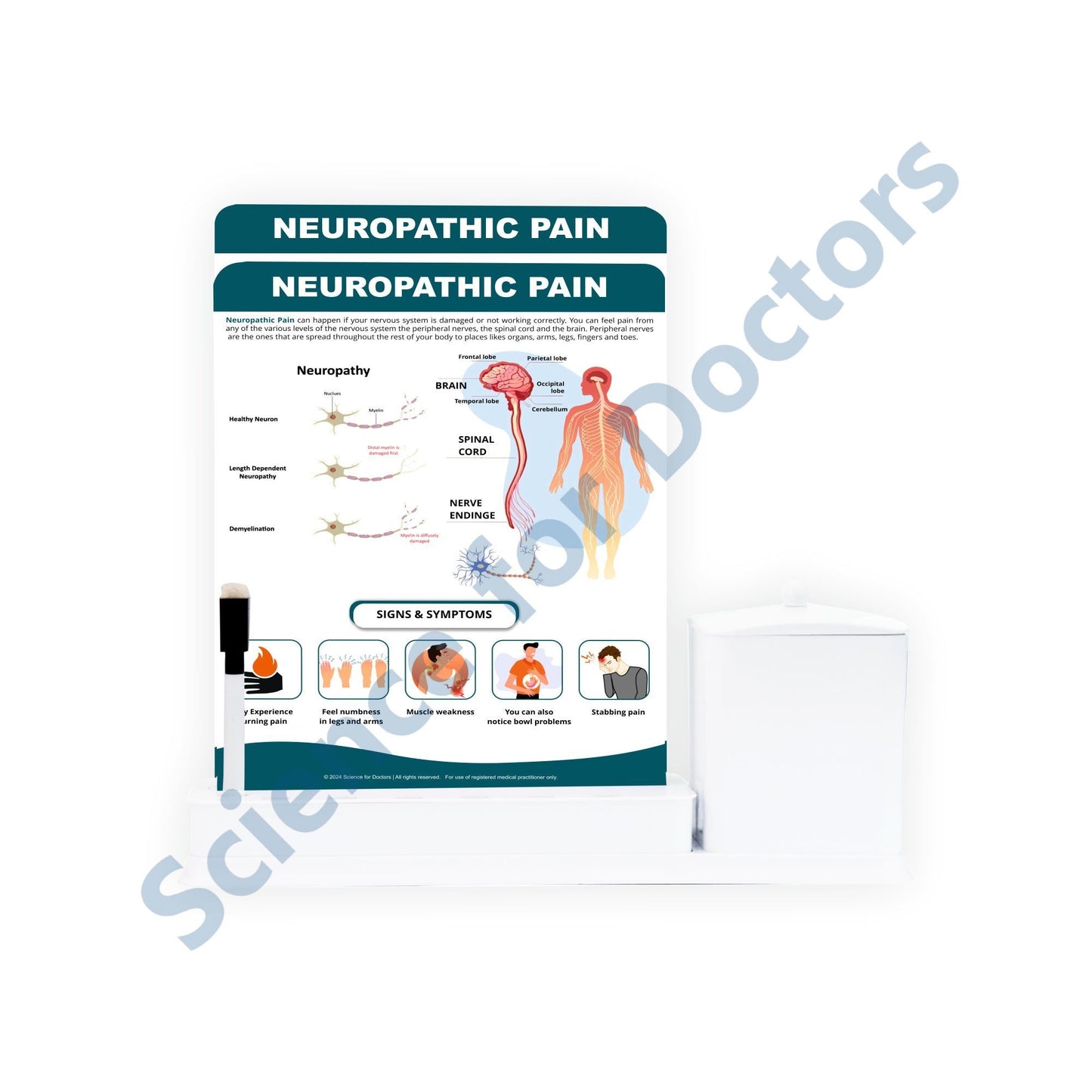 Neuropathic Pain: 2 Slide Write Wipe With Utility Container