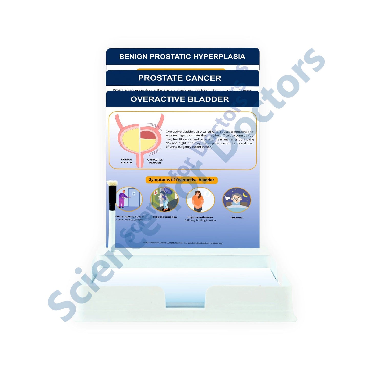 Overactive Bladder: 3 Slides Patient Leaflet Tray