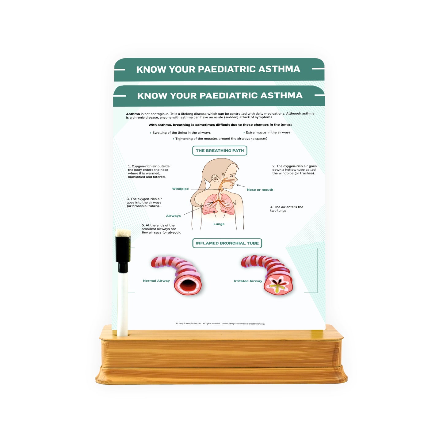 Know Your Pediatric Asthma: 2 Slides on stand