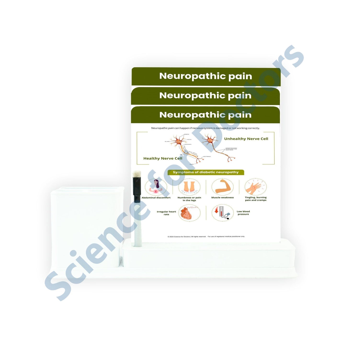 Neuropathic Pain: 3 Slides Write & Wipe with Stationary Stand