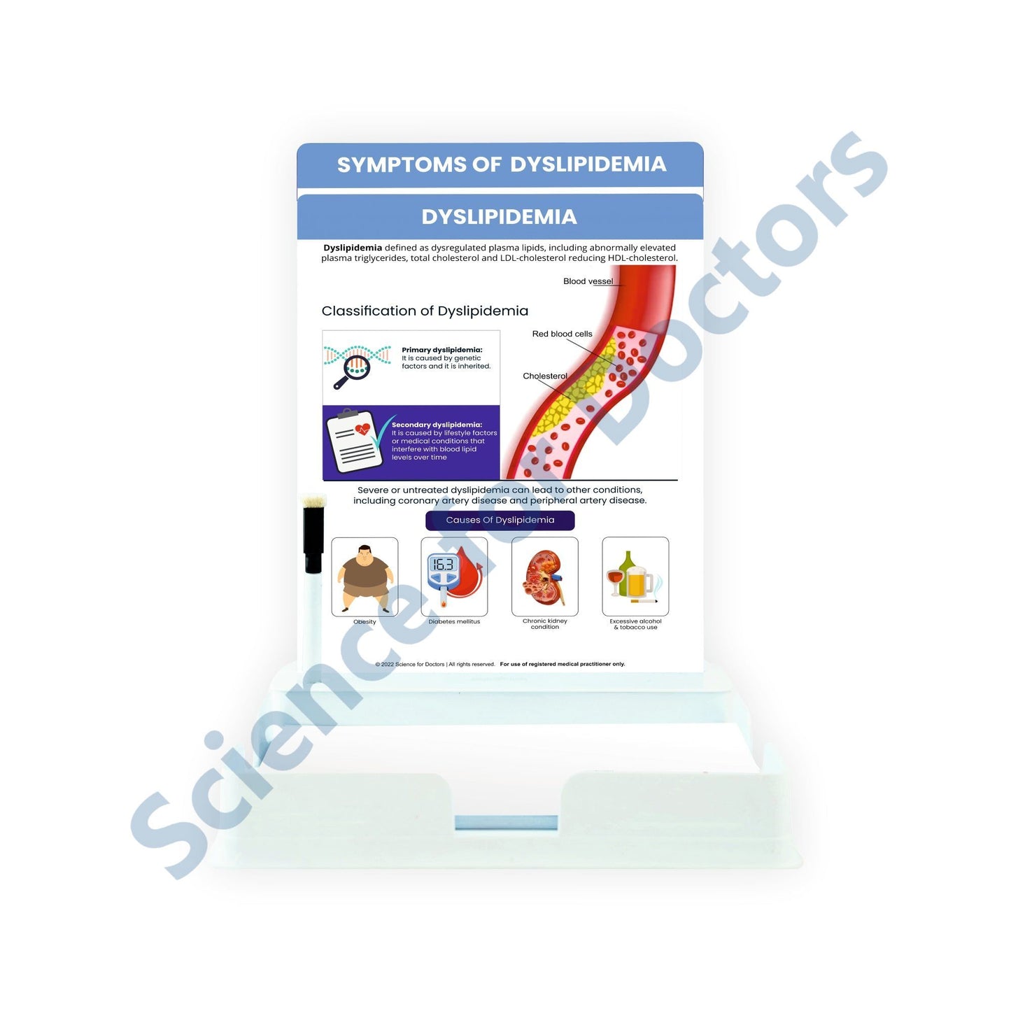 Dyslipidemia: 2 Slides Patient Leaflet Tray