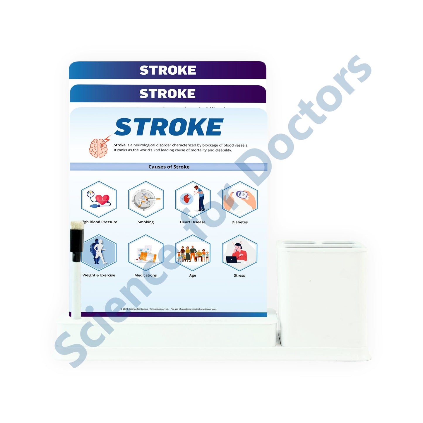 Stroke: 3 Slides Write & Wipe with Stationary Stand