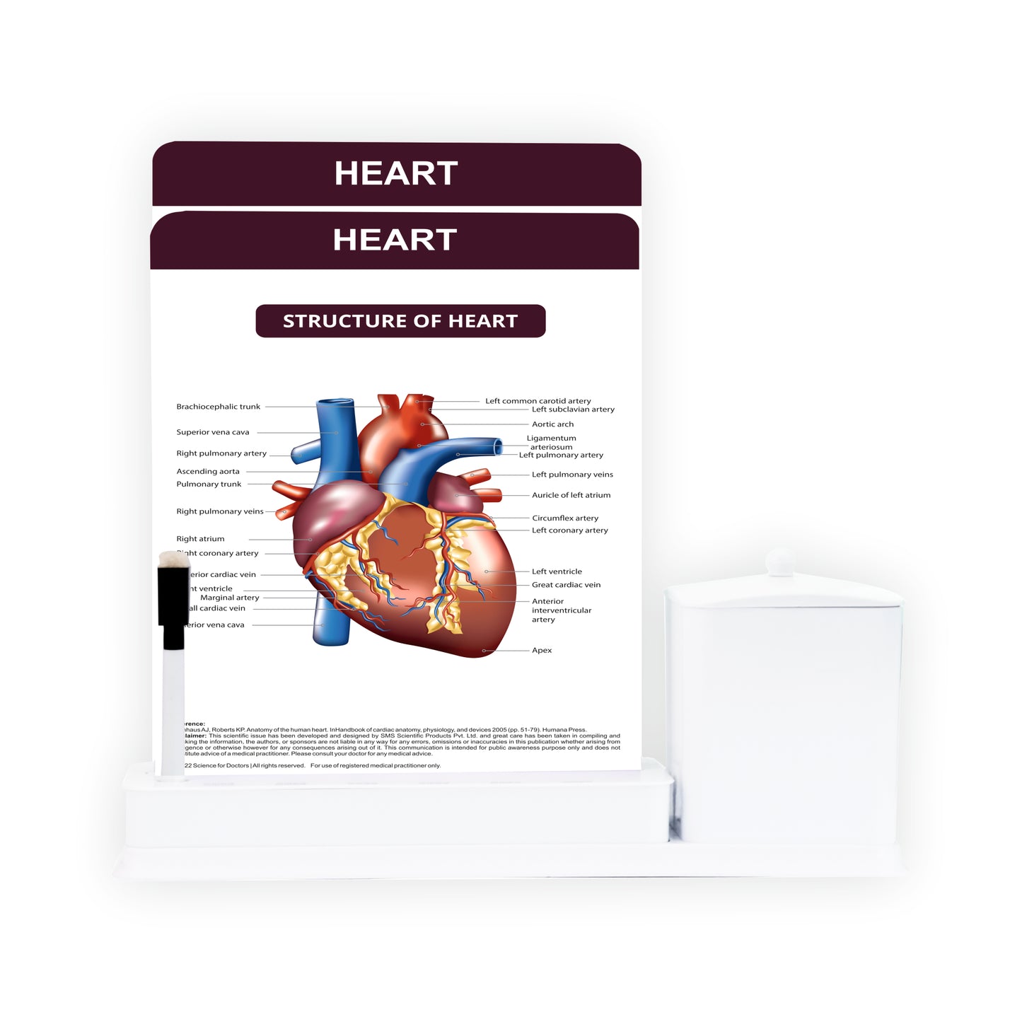 Heart: 2 Slide Write Wipe With Utility Container