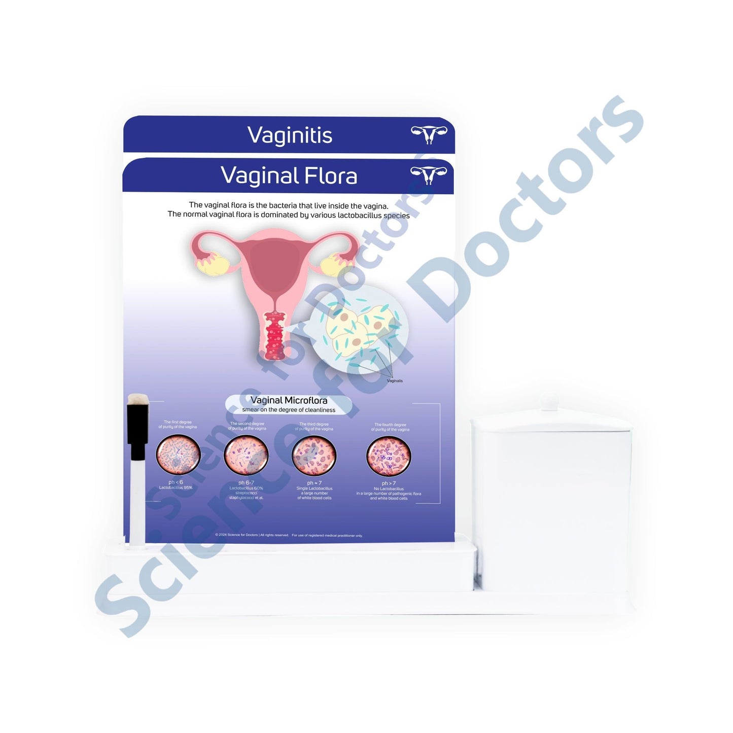 Vaginal Flora: 2 Slide Write Wipe With Utility Container