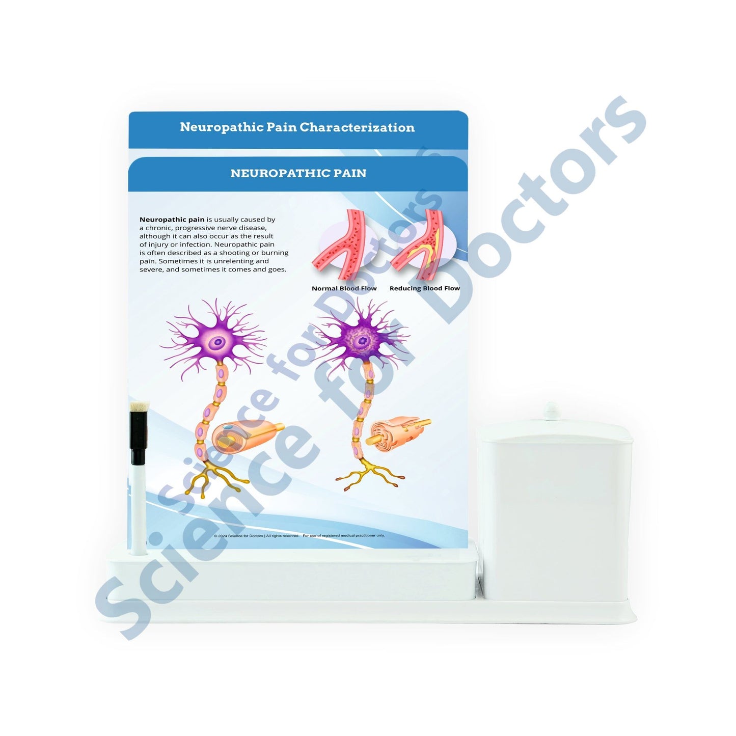 Neuropathic pain (1): 2 Slide Write Wipe With Utility Container