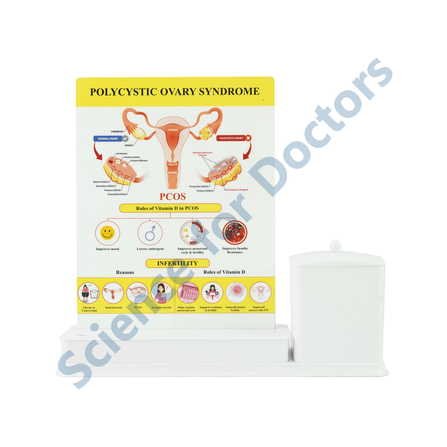 PCOS: 1 Slides Write & Wipe with Stationary Stand