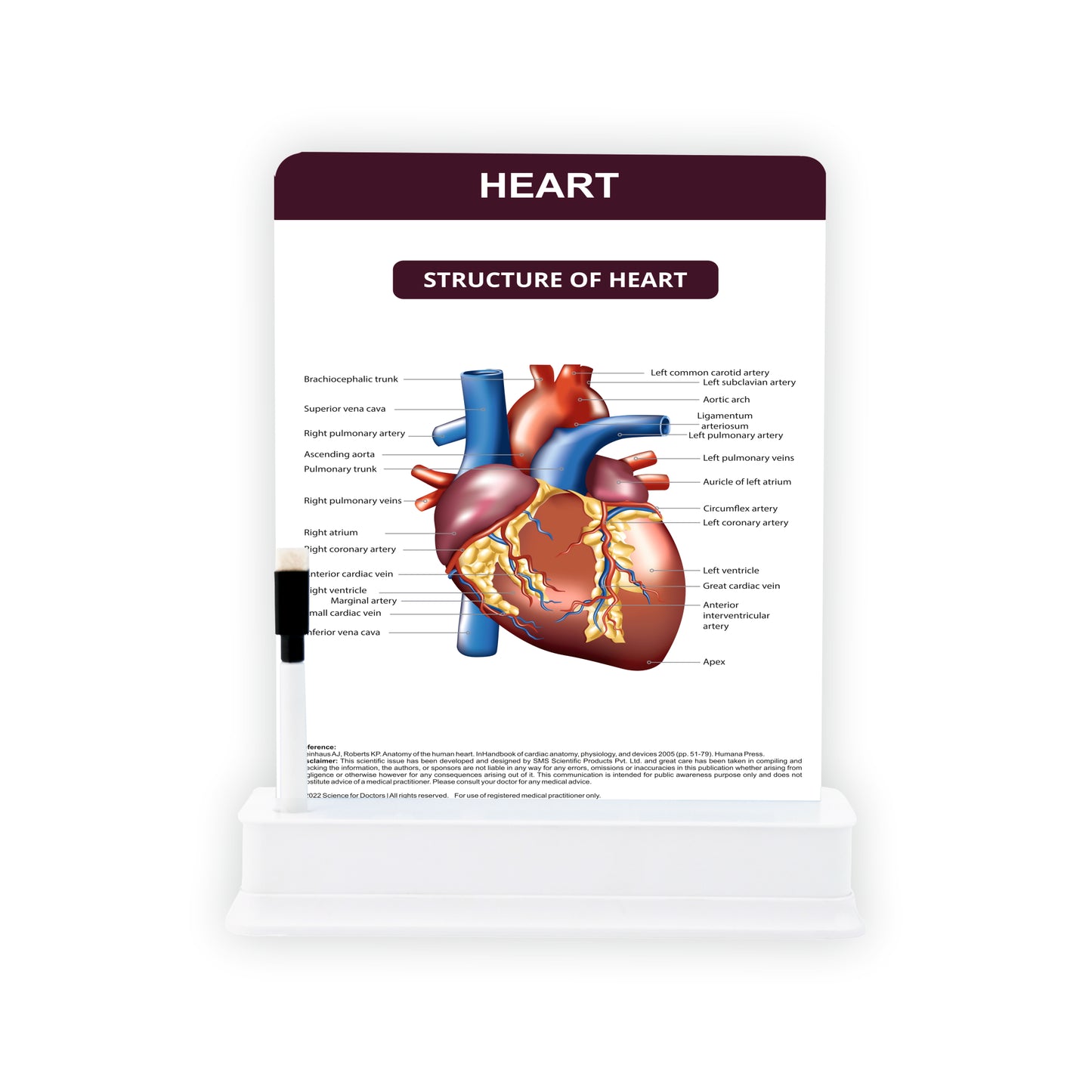 Heart: 1 Slide With Stand