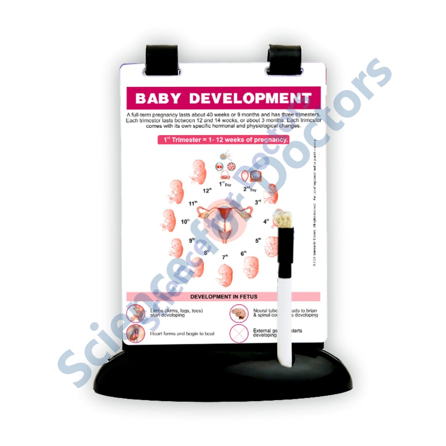 Baby Development: A5 Flip Wipe