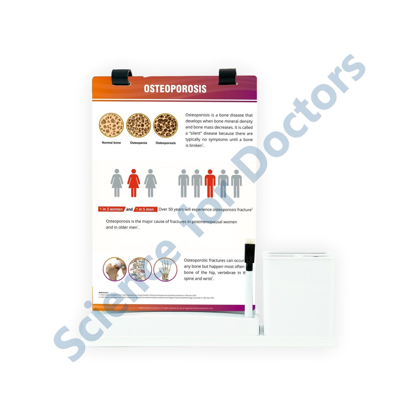 Osteoporosis_1: A4 Flip Wipe With Stationary Stand