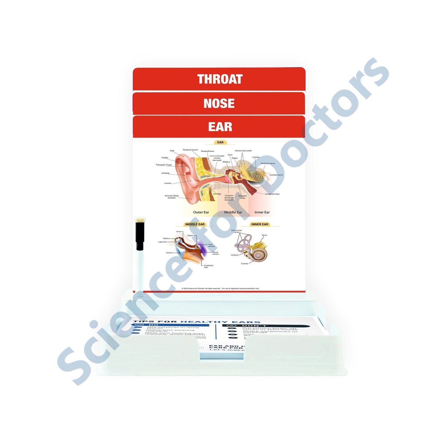 EAR - 3 Slides With Tray