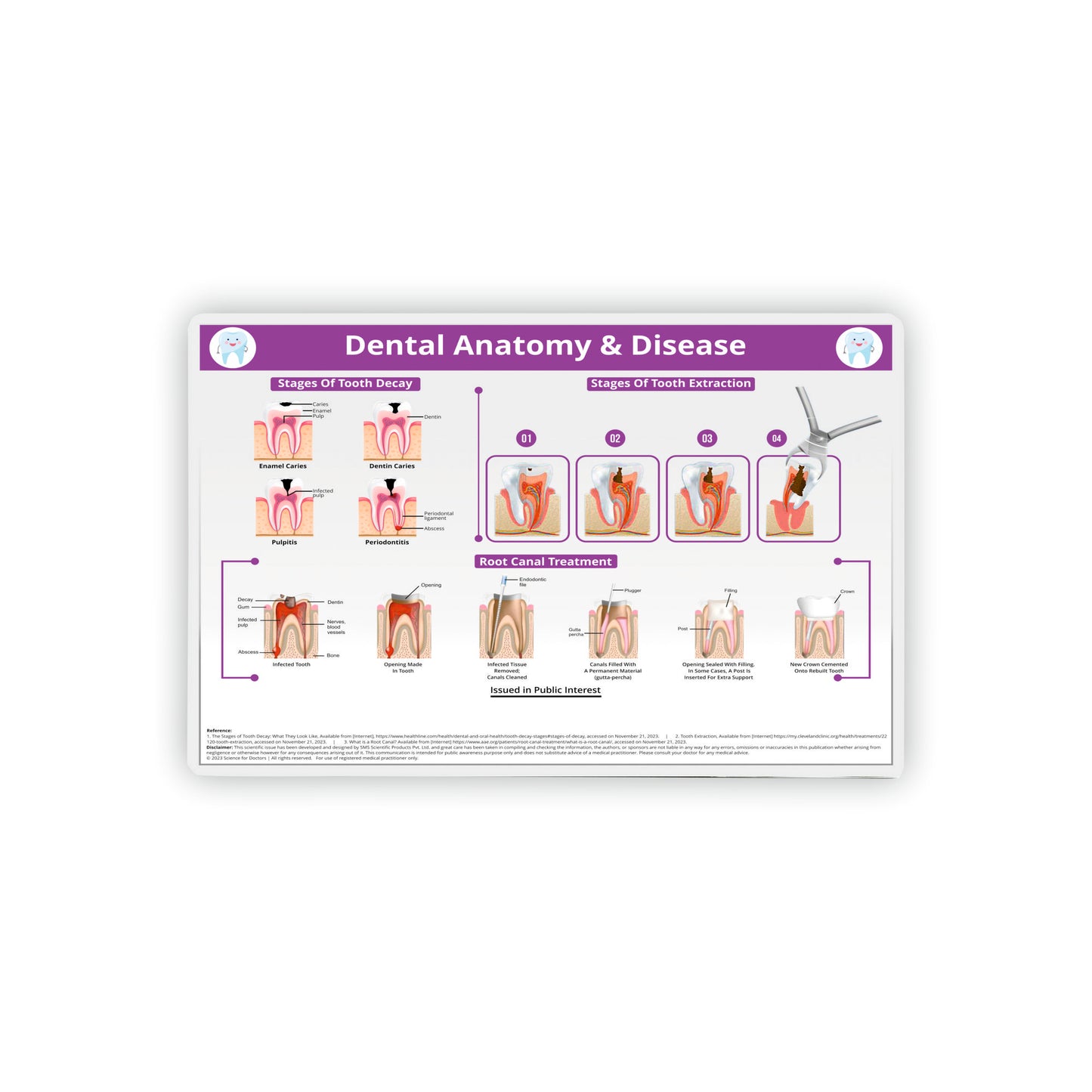 Therapy Board - Dental Anatomy & Disease