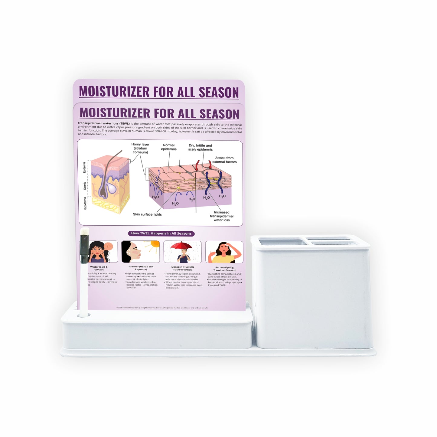 Moisturizer: 2 Slides Write & Wipe With Stationary Stand
