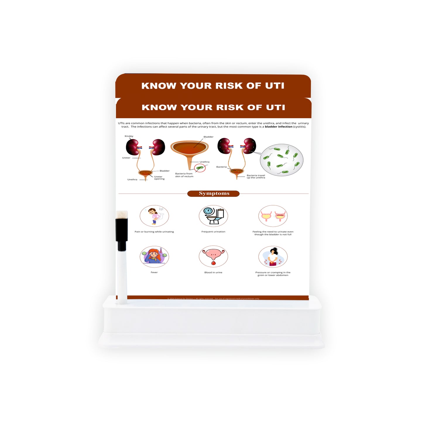 Know Your Risk of UTI: 2 Slides With Stand