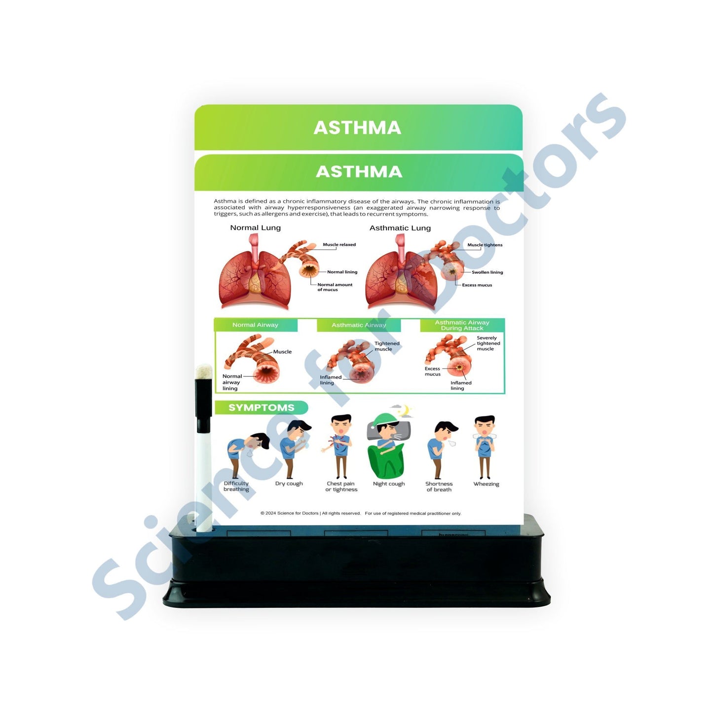 Asthma: 2 Slides on stand