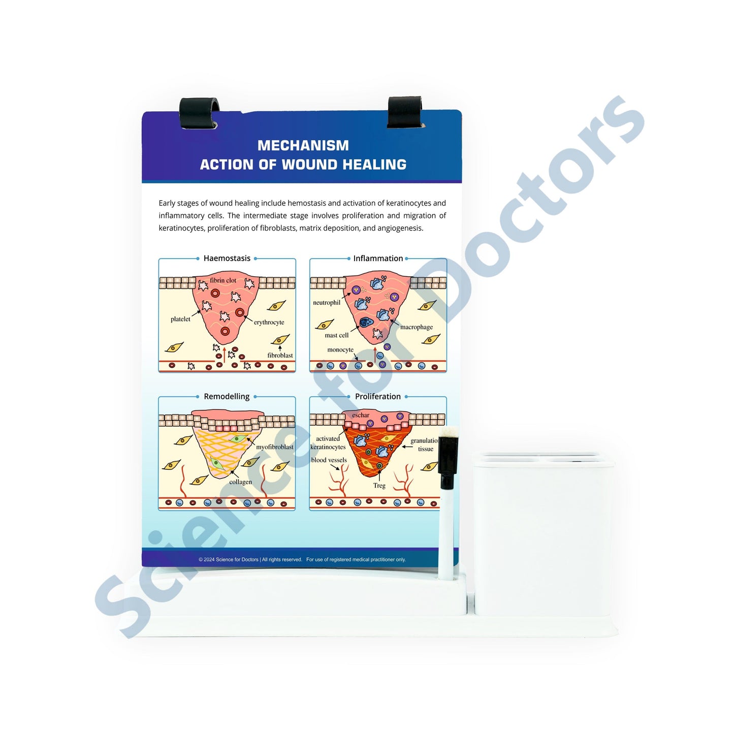 Mechanism Action of Wound Healing: A4 Flip Wipe With Stationary Stand