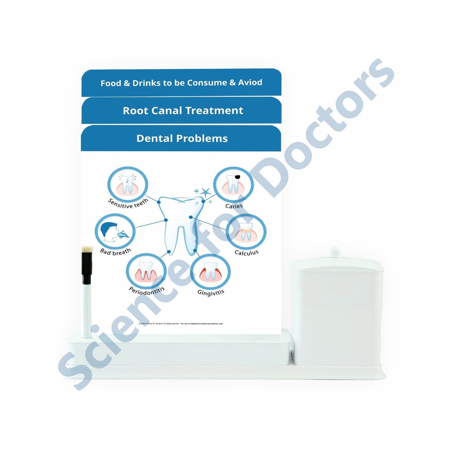 Dental Problems: 3 Slide Write Wipe With Utility Container