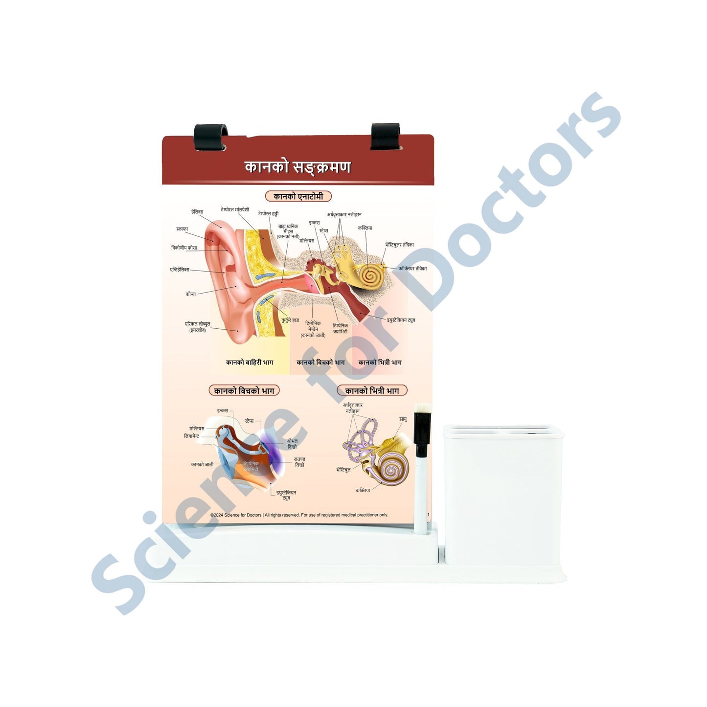 Ear infections: A4 Flip Wipe With Stationary Stand