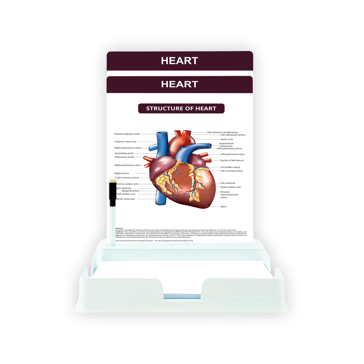 Heart: 2 Slides With Tray