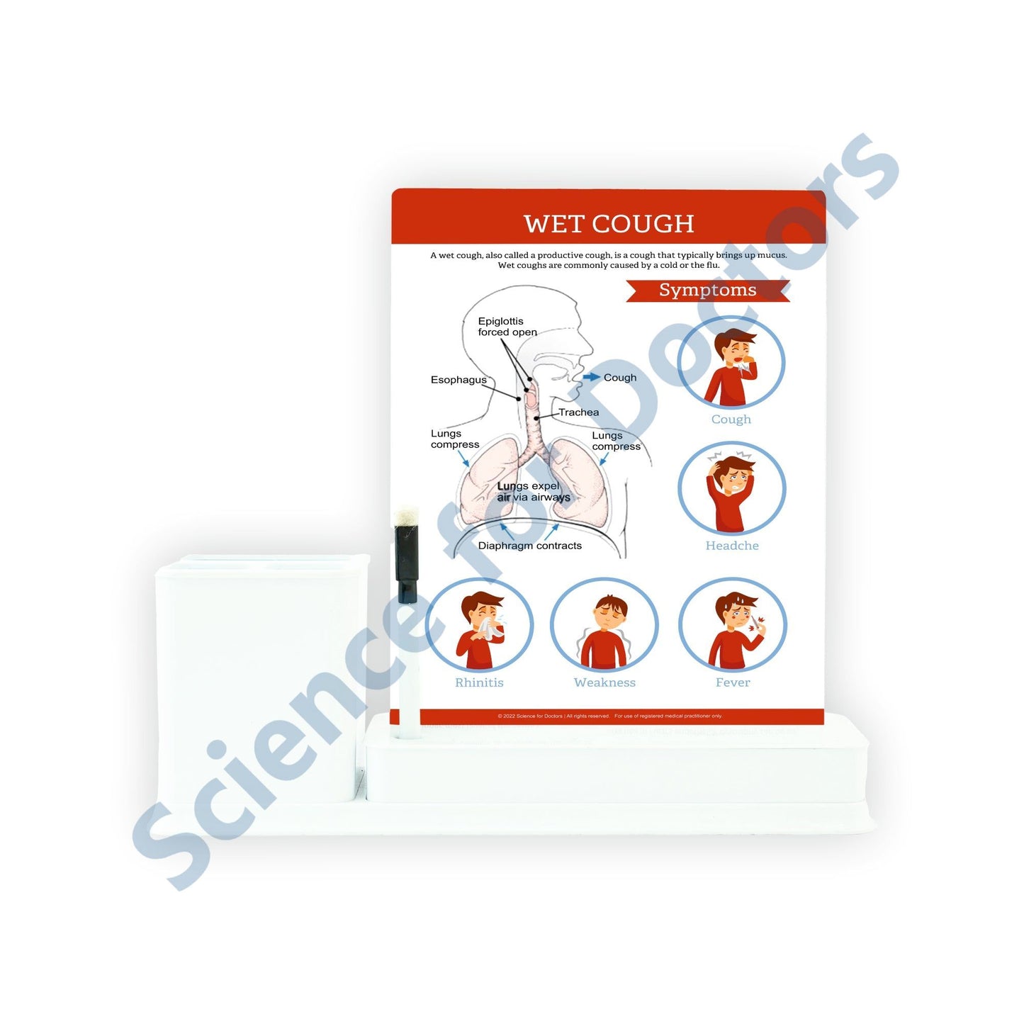 WET COUGH: 1 Slides Write & Wipe with Stationary Stand